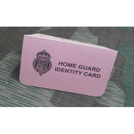 Documentación Home Guard